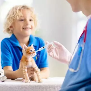 100 мл многоразовый жидкий шприц для кормления животных промышленной гидропоники