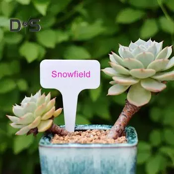 100 шт. этикеток для растений T-образной формы, водонепроницаемые маркеры для растений, многоразовые бирки для идентификации растений, маркер для питомника, знаки для рассады цветов, сорта S