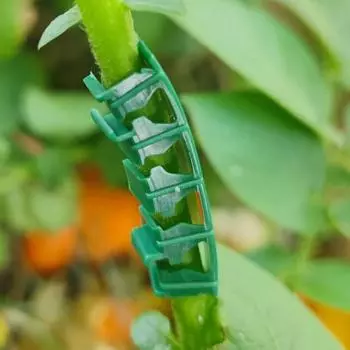 100 шт. фиксированные зажимы для роста растений, гибочные ветки для стеблей растений, многоразовые гибочные приспособления для растений, садовые принадлежности, гибочные ветки