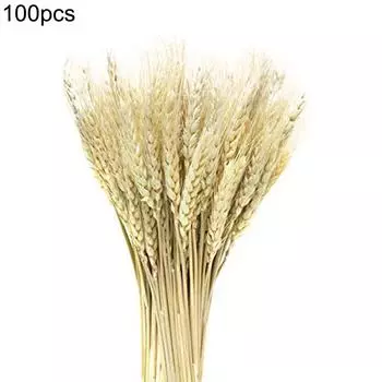 100 шт. искусственных сушеных цветов пшеницы, реалистичные сушеные снопы пшеницы для рождественского вечера