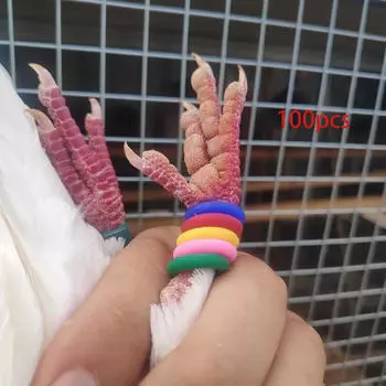 100 шт. Кольца для ног птиц, идентификационные кольца для курицы, случайная нога 9mm