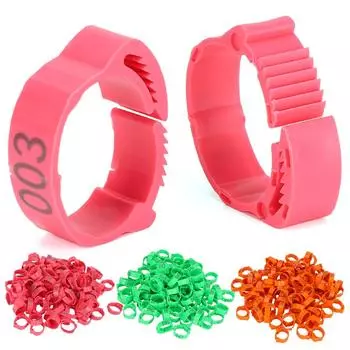 100 шт., лапка птицы, курица, утка, птица, лапка для лапки, птица, пряжка, курица оранжевый