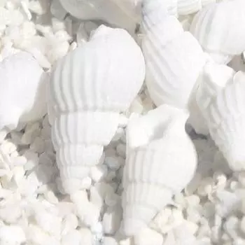 100 шт., маленькие красивые топы, редкие настоящие морские ракушки, рождественский подарок