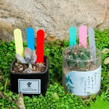 100 шт./пакет, знак для садоводства, легко писать, водонепроницаемый, с отверстием, детский поднос, с круглой головкой, суккулентные растения жёлтый