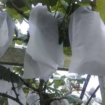 100 шт. садовые сумки для защиты фруктов, клубники, винограда, питомника, сумка для борьбы с вредителями, сетчатая сумка для защиты от птиц, защита сада 15x17cm