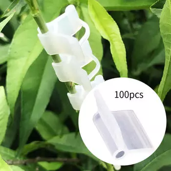 100 шт. садовых зажимов для прививки баклажанов, простая в использовании томатная шпалера для фасоли 2mm