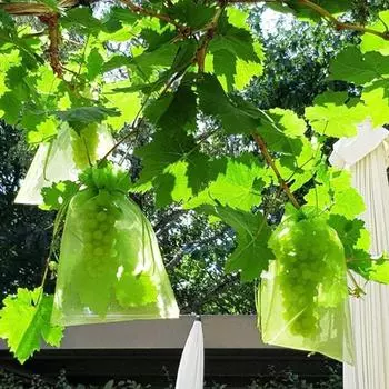 100 шт., сетчатые пакеты для защиты фруктов, сетка на шнурке, защитные сетки для фруктов, защищенные от птиц пакеты для фруктов, защитные сумки для клубники, черники S