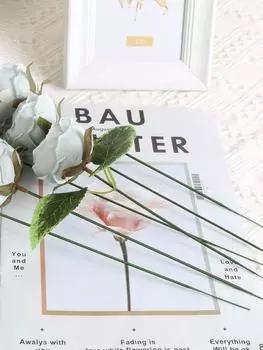 100 шт. стебли длиной 20 см/25 см диаметром 2 мм, проволочные цветочные темно-зеленые цветочные стебли, стебель для букета для цветочных композиций, поделки своими руками, принадлежности для изготовления цветов 20cm зелёный