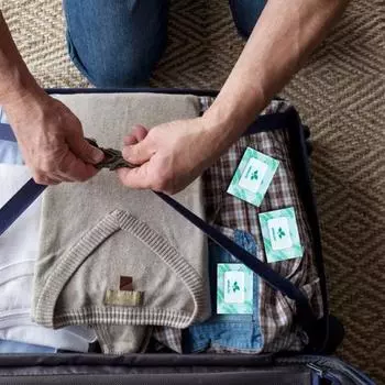 100 шт. влагостойкие ароматические таблетки с длительным эффектом для растений, фруктов, гардероба, одежды, обуви, удаления запахов, впитывания влаги, ароматизированные Vanilla