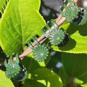 100 шт. зажим для стебля орхидеи универсальные стабильные экологически чистые зажимы для поддержки растений для более здоровых продуктивных растений кофейный