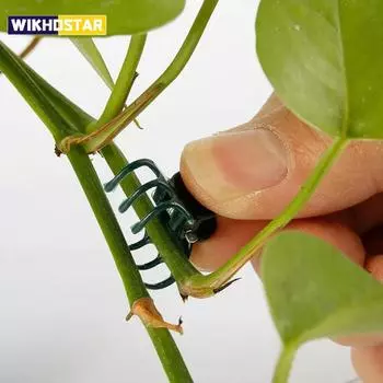 100 шт. зажимов для садовых растений, пластиковая опора для стебля орхидеи, зажим для виноградной лозы, овощей, цветов, связки, зажим для веток, садовый инструмент