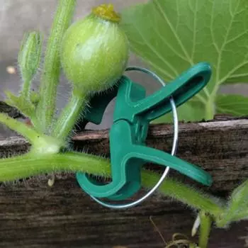 100 шт. зажимы для поддержки растений, простые в использовании зажимы для помидоров, пластиковые крепежные зажимы для Large B