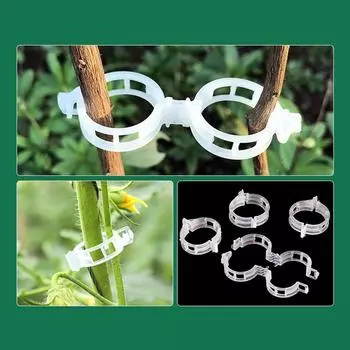 100 шт зажимы для поддержки садовых растений, шпагат для томатов и овощей