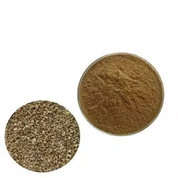 100 г порошка экстракта плодов жгун-корня 20:1. Для сексуального здоровья Ше Чуан Цзы