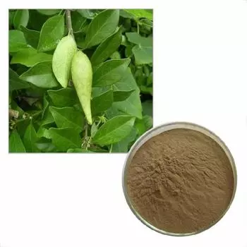 100 г экстракта Джимнемы Сильвестре в порошке 10:1 Контроль уровня сахара в крови