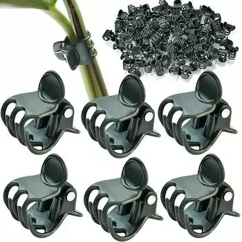 100PCS 6-Claw Dark Green Plant Clips Orchid Flowers Support Clamp Climbing Vine Stem Clasp Tied Bundle Branch Garden Tool зелёный
