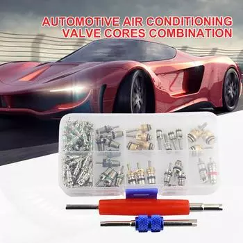 102 шт. комплект клапанов для автомобильного кондиционера R134A, ассортимент клапанов для автомобильного кондиционера AC Shrader для Buick Auto CHINA