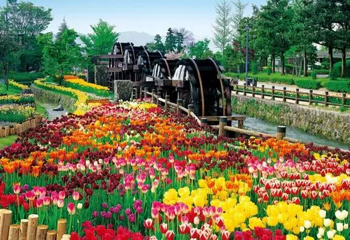 1053 Piece Jigsaw Puzzle Five Watermills and Flower Blooming Park - Toyama Super Small Piece (26x38cm)