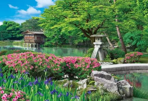 1053 Piece Jigsaw Puzzle Iris Blooming Kenrokuen Ishikawa Super Small Piece - (26x38cm)