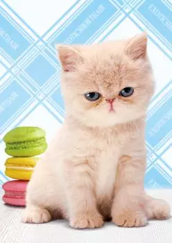 108 Piece Jigsaw Puzzle Exotic Kimbun (18.2x25.7cm)