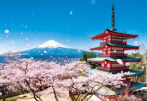 108 Piece Jigsaw Puzzle Fuji and Cherry Blossom Snowstorm Pagoda Large Piece Five-storied (Yamanashi) (26x38cm)