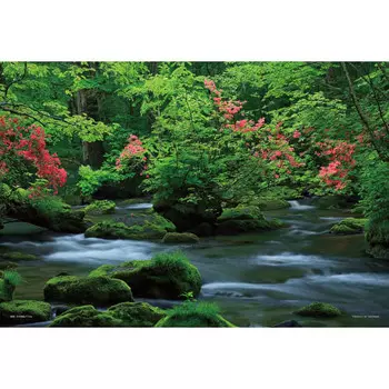 108 piece jigsaw puzzle Oirase Gorge (Aomori) that brings a cool feeling Large piece (26 x 38 cm)