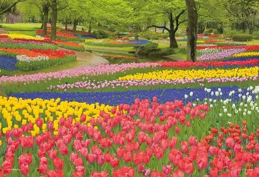 108 Piece Jigsaw Puzzle Showa Kinen Park Large Piece (Tokyo) (26x38cm)