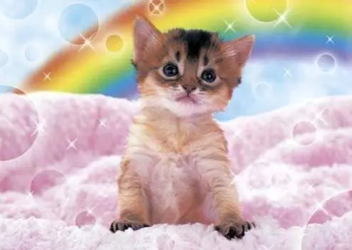 108 Piece Jigsaw Puzzle Wish on a Rainbow (18.2x25.7cm)