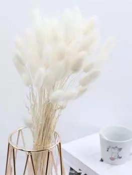 109 шт. сушеных пампасных трав, букет с заячьими хвостами, сушеные цветы, натуральные помпы для домашнего декора в стиле бохо, свадебная цветочная композиция, деревенская вечеринка в фермерском доме разноцветный