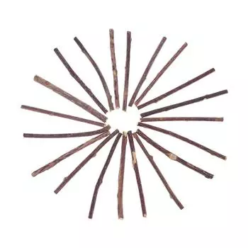 10-100 шт., натуральная кошачья мята, палочка для чистки зубов, молярная зубная паста, палочка Matatabi Silvervine Actinidia, фрукты, кошачья закуска, игрушки для домашних животных 15pcs