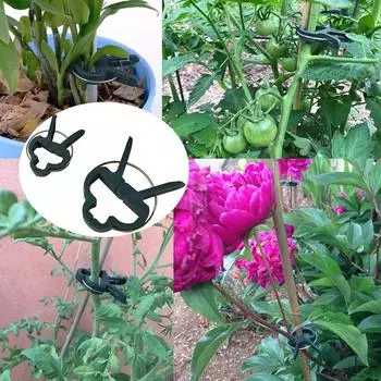 10/20/30 шт. зажимы для поддержки зеленых растений, зажимы для поддержки стебля садовых цветов, овощные лозы, инструмент для выпрямления растений S-30pcs