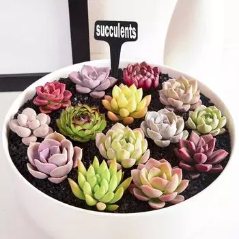 10/25 шт. Ярлыки для садовых растений, аксессуары для растений, классификация, сортировка, бирки, цветочные горшки, пластиковые бирки для растений, маркеры для питомника