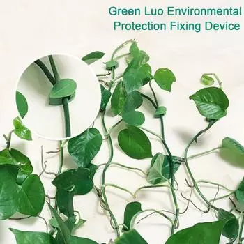 10/30/50/100 шт. держатель для растений, зажимы для крепления на стену для скалолазания с прозрачным клеем 10pcs
