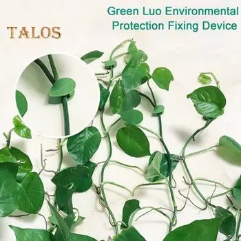 10/30/50/100 шт. держатель для растений, зажимы для крепления на стену для скалолазания с прозрачными наклейками, зажимы для фиксации растений в форме листа для внутренней и наружной стены 10 pcs
