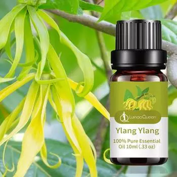 10 мл эфирное масло иланг-иланга, ботаническая ароматерапия, сужение пор, улучшение кожи, увлажнение, питание