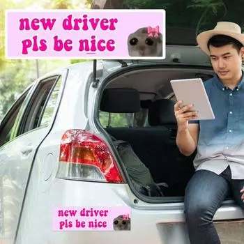 10 шт., автомобильная наклейка, самоклеящаяся, сильная липкость, водостойкая, легко отслаивается, забавная наклейка-мем, новая наклейка для автомобиля с водителем розовый