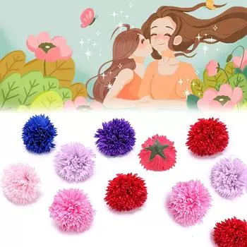 10 шт. DIY материал искусственное мыло цветы навсегда цветы гвоздики головы день матери