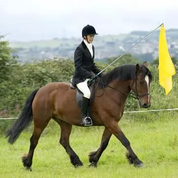 10 шт. флагов для конного спорта, оборудование для конного спорта