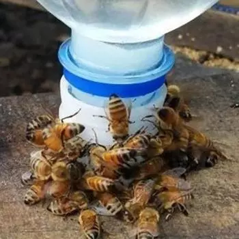 10 шт. игольчатое отверстие для подачи воды, пластиковое эффективное питьевое оборудование для пчел, поилка, инструмент для пчеловодства 10 pcs