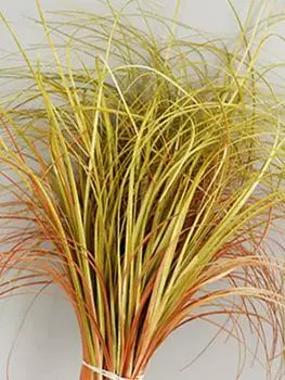 10 шт. имитация одного одуванчика, искусственная зелень, украшение для дома, искусственная трава, имитация растений в помещении, имитация стены, зеленый лук, уличный декор S светло-зеленый