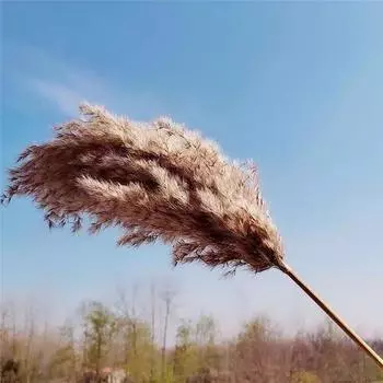 10 шт. искусственная пампасная трава декор искусственные помпы трава цветочные пушистые искусственные растения напольная ваза наполнитель для кухни украшения дома в стиле бохо 10 Pcs