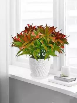 10 шт. искусственных ипомеи, пластиковые искусственные цветы ипомеи, пластиковые цветы для дома, улицы, помещения, вечеринки, свадьбы, украшения стола жёлтый