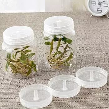 10 шт. крышка от бутылки с тканевой культурой, устойчивая к грибку, дышащая крышка as the picture