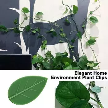 10 шт. настенные зажимы для скалолазания, акриловые клейкие наклейки для защиты внутреннего/наружного контроля направления лозы зелёный