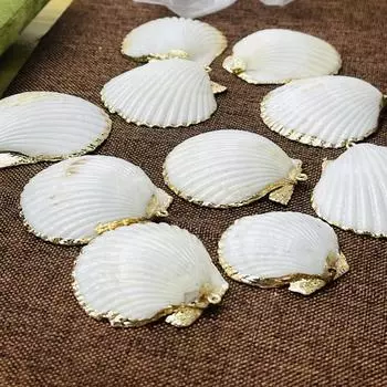 10 шт., Подвески-шармы из белой натуральной ракушки, сплав цинка, с золотистым краем, для DIY, аксессуары для унисекс-ожерелья, креативное изготовление ювелирных изделий, декор для возвращения в школу 10Pcs/40-4540-45mm белый