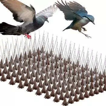 10 шт. полоска шипов против птиц из нержавеющей стали отпугиватель шипов для птиц и голубей отпугиватель птиц отпугиватель для инструментов для забора и крыши шоколадный