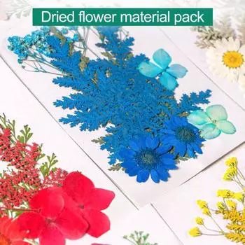 10 шт. прессованные сухоцветы плоские настоящие сухоцветы полностью натуральные цветные сухоцветы для поделок своими руками скрапбукинг украшения лица