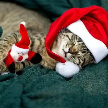 10 шт. рождественские шапки шапки Санта-Клауса кепка Веселое рождественское украшение на праздник год рождественская вечеринка декор принадлежности 10Pcs Children hats