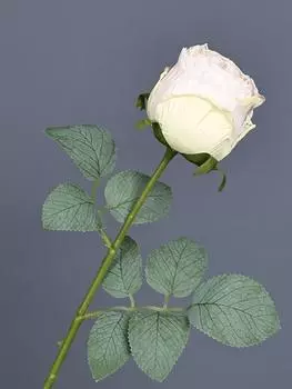 10 шт. шелковые розы искусственные цветы розы сушеные розы длинный стебель поддельные розы для DIY свадебный букет стол домашний двор декор гостиной светло-розовый