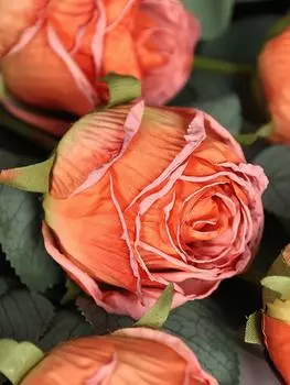 10 шт. шелковых роз, искусственные розы, сушеные розы, длинные стебли, искусственные розы для самостоятельного изготовления свадебного букета, домашнего декора, шелковые розы светло-розовый